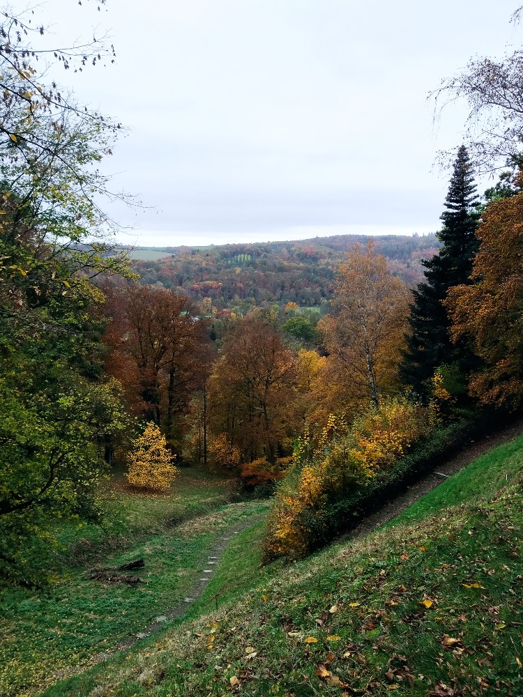 Hradec nad Moravicí - ze zámku na Bezručovu vyhlídku 