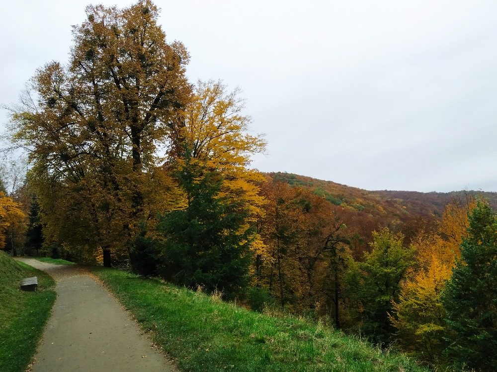 Hradec nad Moravicí - ze zámku na Bezručovu vyhlídku 