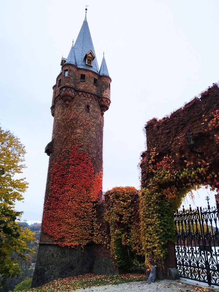 Hradec nad Moravicí - ze zámku na Bezručovu vyhlídku 