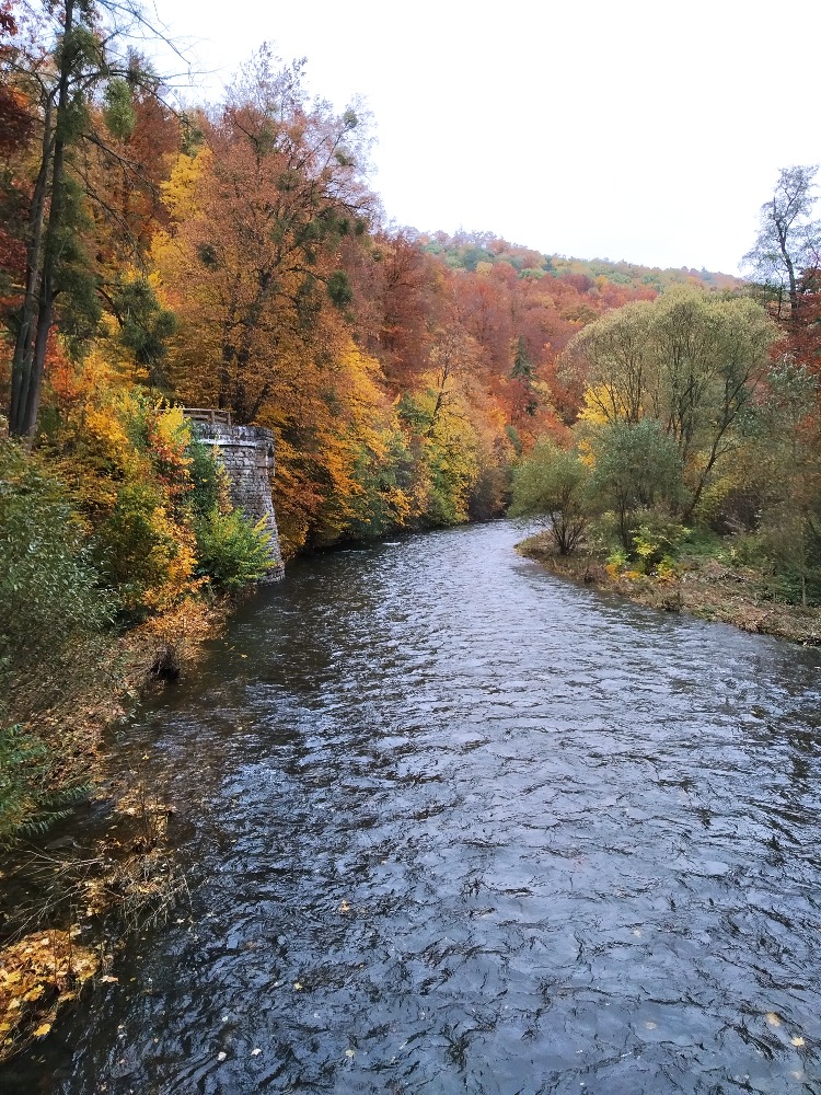 Hradec nad Moravicí - ze zámku na Bezručovu vyhlídku 