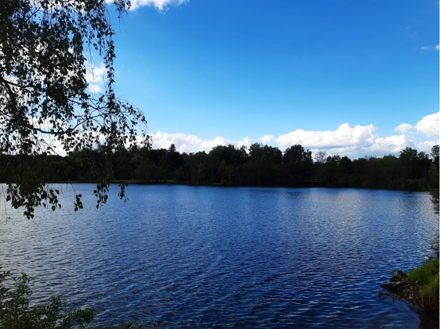 Olomoucké přírodní koupaliště Poděbrady